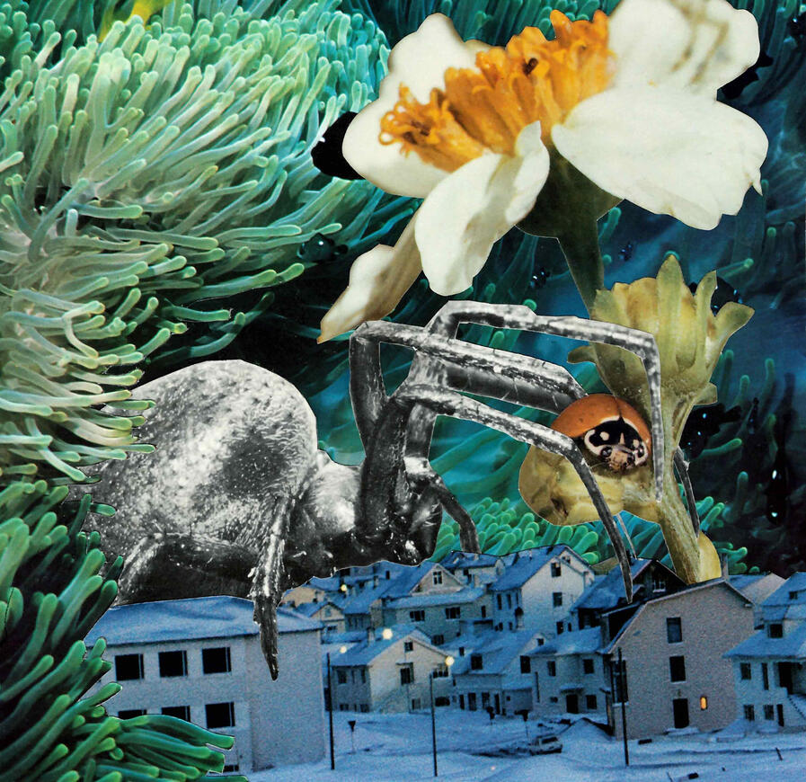 Sarah Alonzo Artist - Collage Art Sarah Alonzo Artist - Collage Art